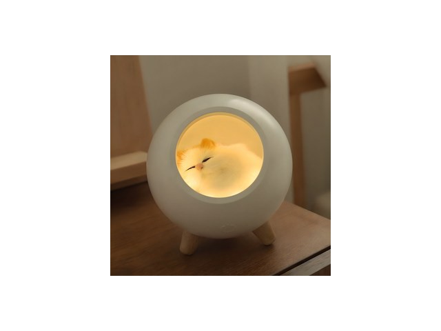 고양이무드등 올해 화제의 아이템